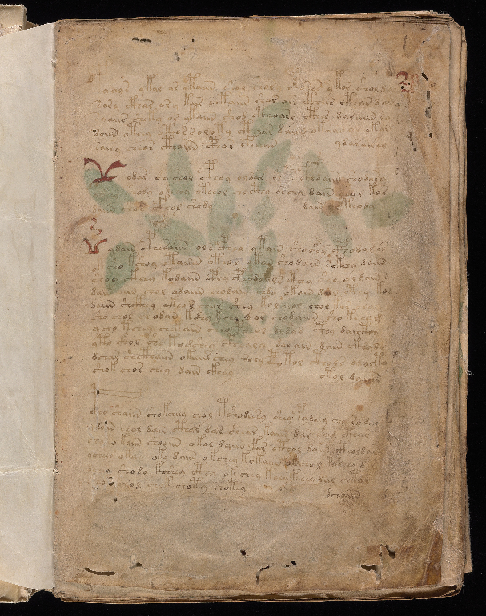 Original folio f1r