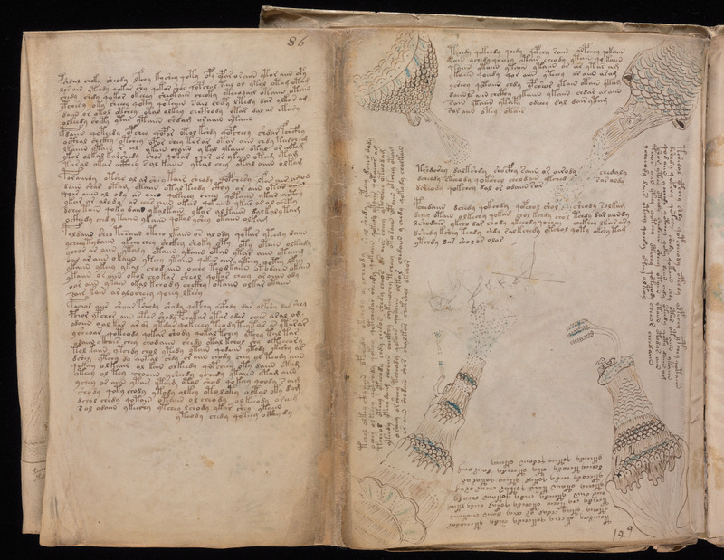 [Image: 1006230.jpg]