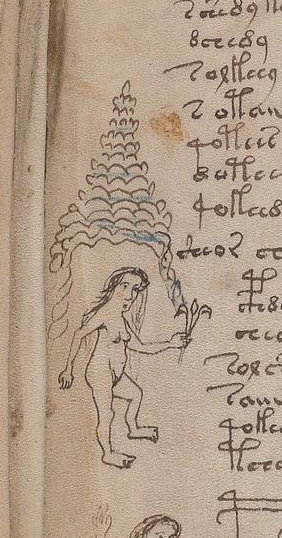 [Image: image.jpg?ref=f76v&q=f76v-171-231.933334...94-282-537]