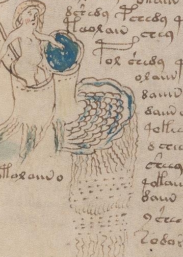 [Image: image.jpg?ref=f77r&q=f77r-136-1165.7333984375-359-501]