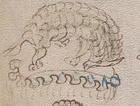 [Image: image.jpg?ref=f80v&q=f80v-305-581.6666564941406-200-150]